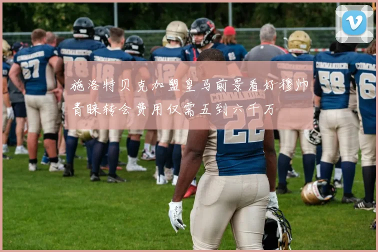 施洛特贝克加盟皇马前景看好穆帅青睐转会费用仅需五到六千万