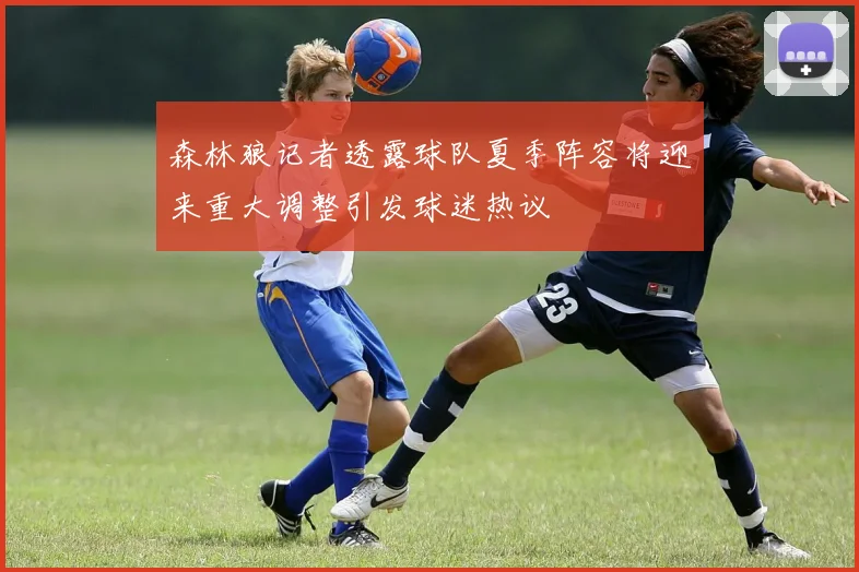 森林狼记者透露球队夏季阵容将迎来重大调整引发球迷热议